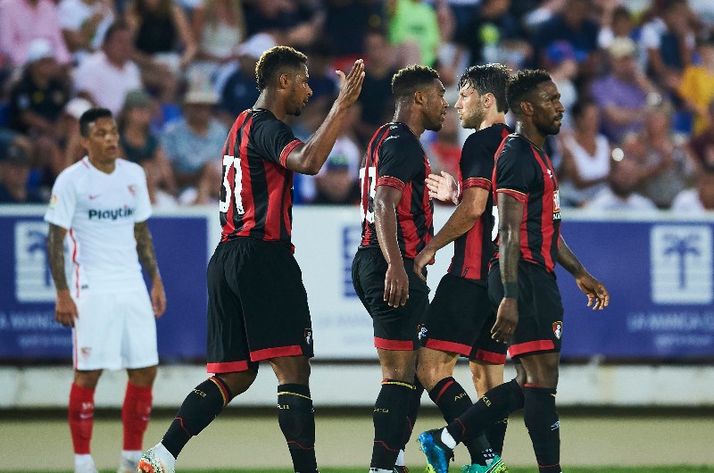 Bournemouth vs Crystal Palace Preview & Betting Tips